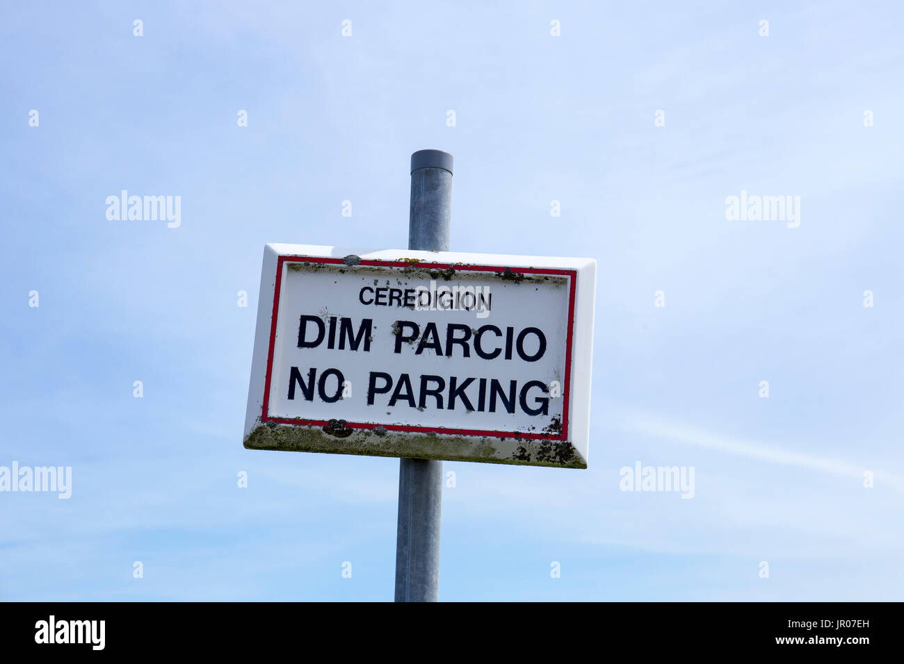 No Parking sign Parcio Dim en anglais et gallois au Pays de Galles, Aberystwyth, Ceredigion UK Banque D'Images