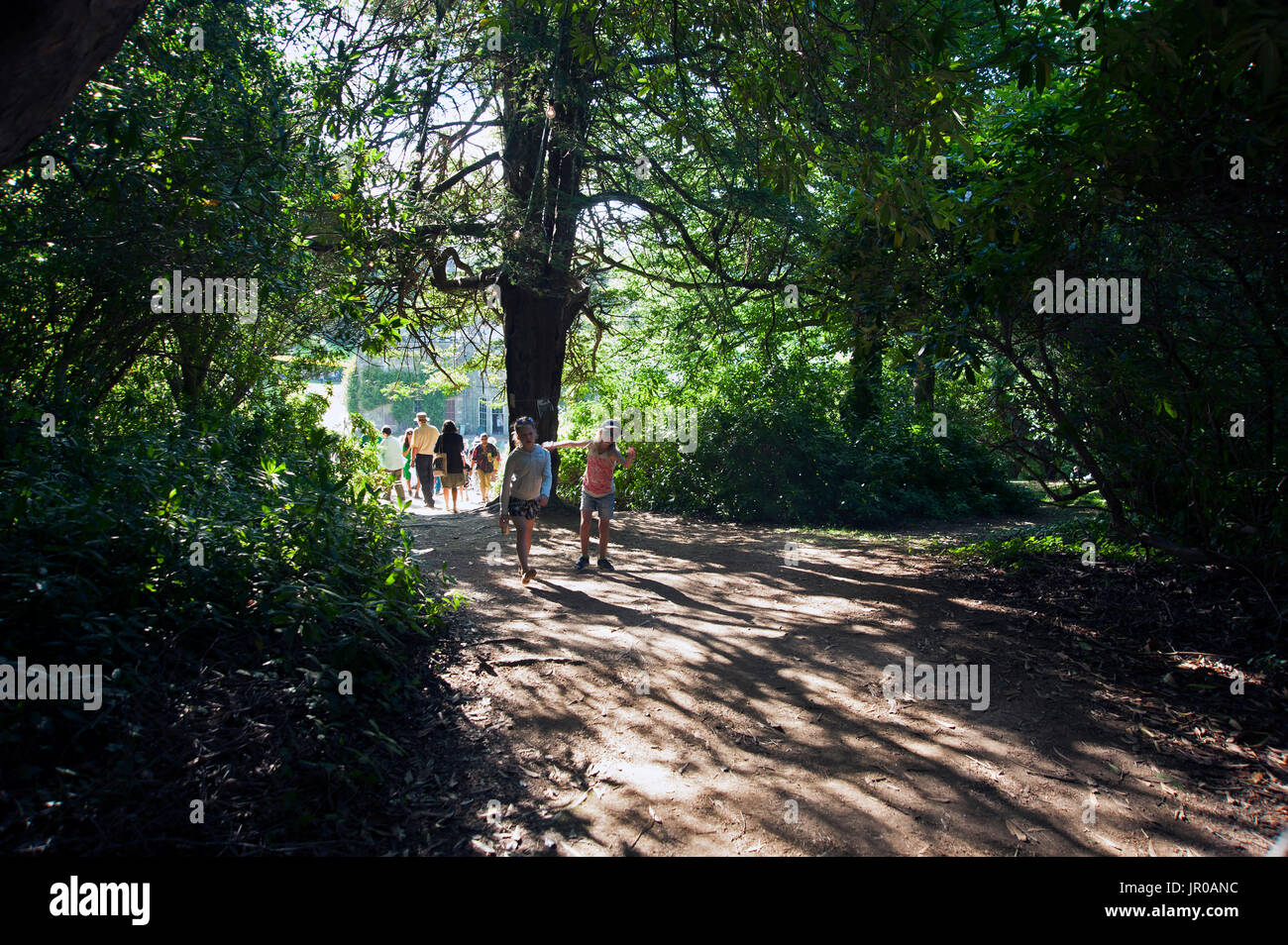 Deux jeunes enfants et festivaliers de marcher dans l'ombre des arbres au Port Eliot Festival à Cornwall Banque D'Images