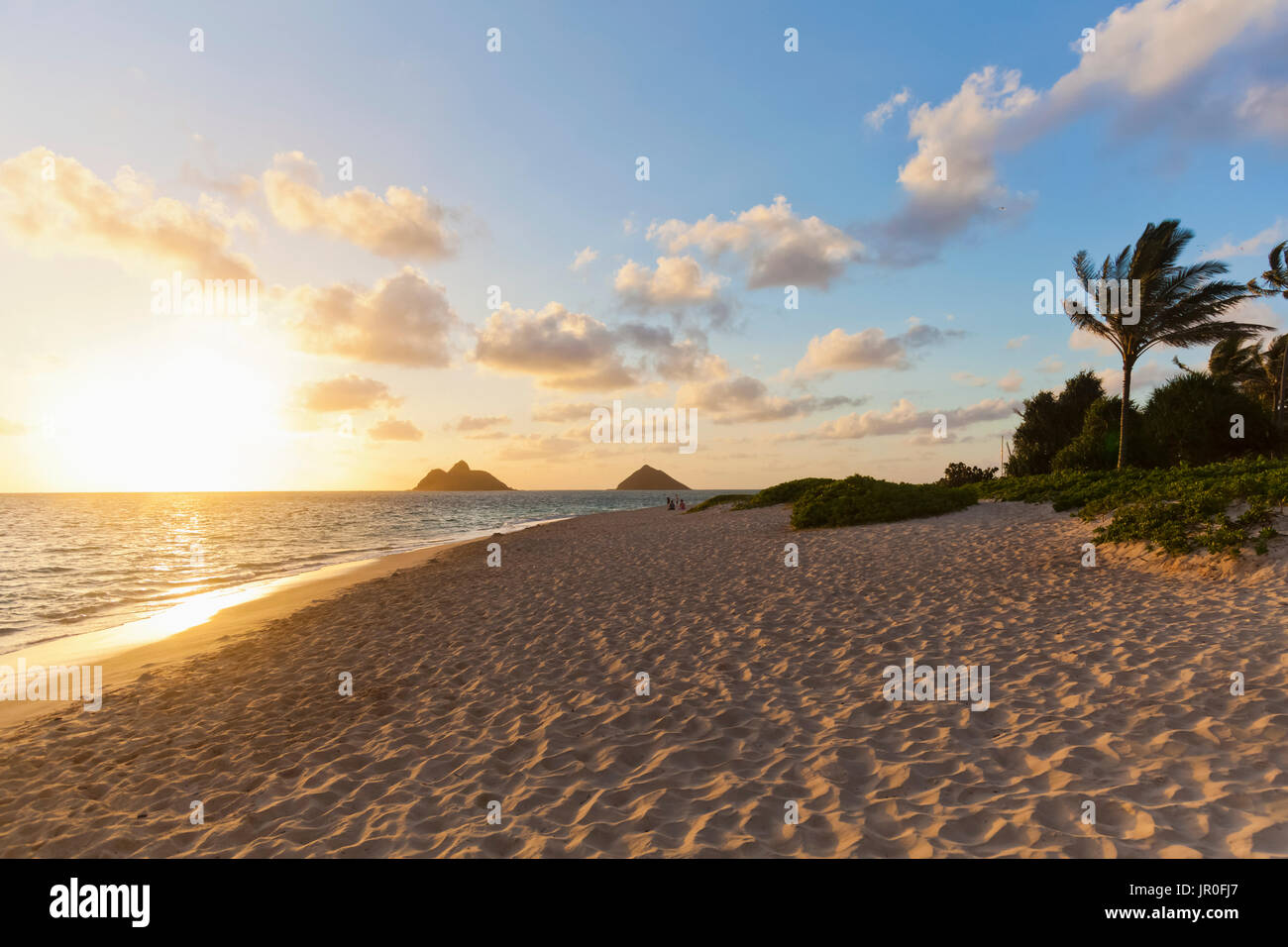 Lanikai Beach donnant sur la Mokulua Islands, connu sous le nom de Twin Islands, au lever du soleil ; Kailua, Oahu, Hawaii, United States of America Banque D'Images