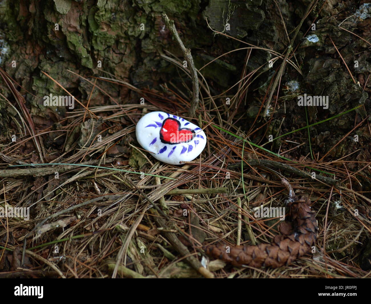 Rock peint avec coeur rouge et fond blanc reposant sur des aiguilles de pin Banque D'Images