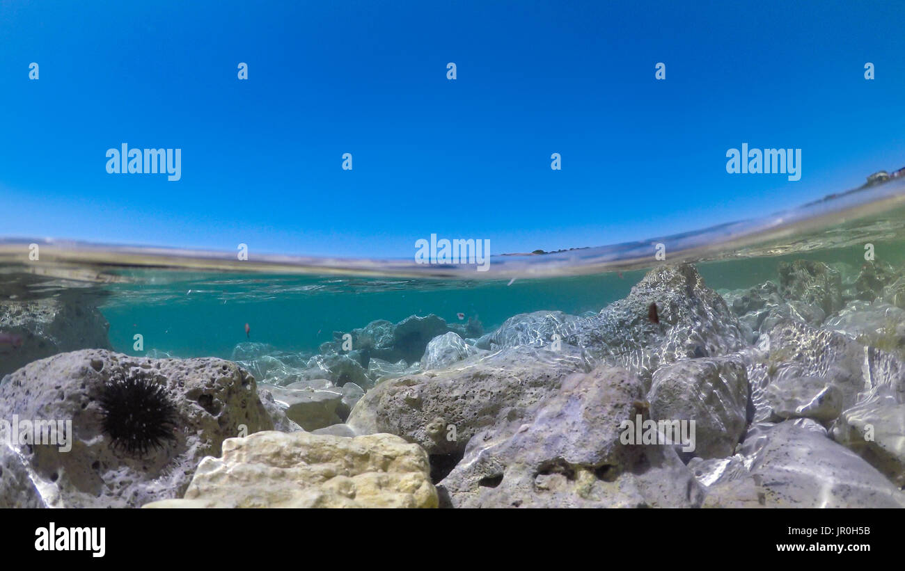 La moitié sous l'eau dans la mer de rochers et d'oursin. Banque D'Images