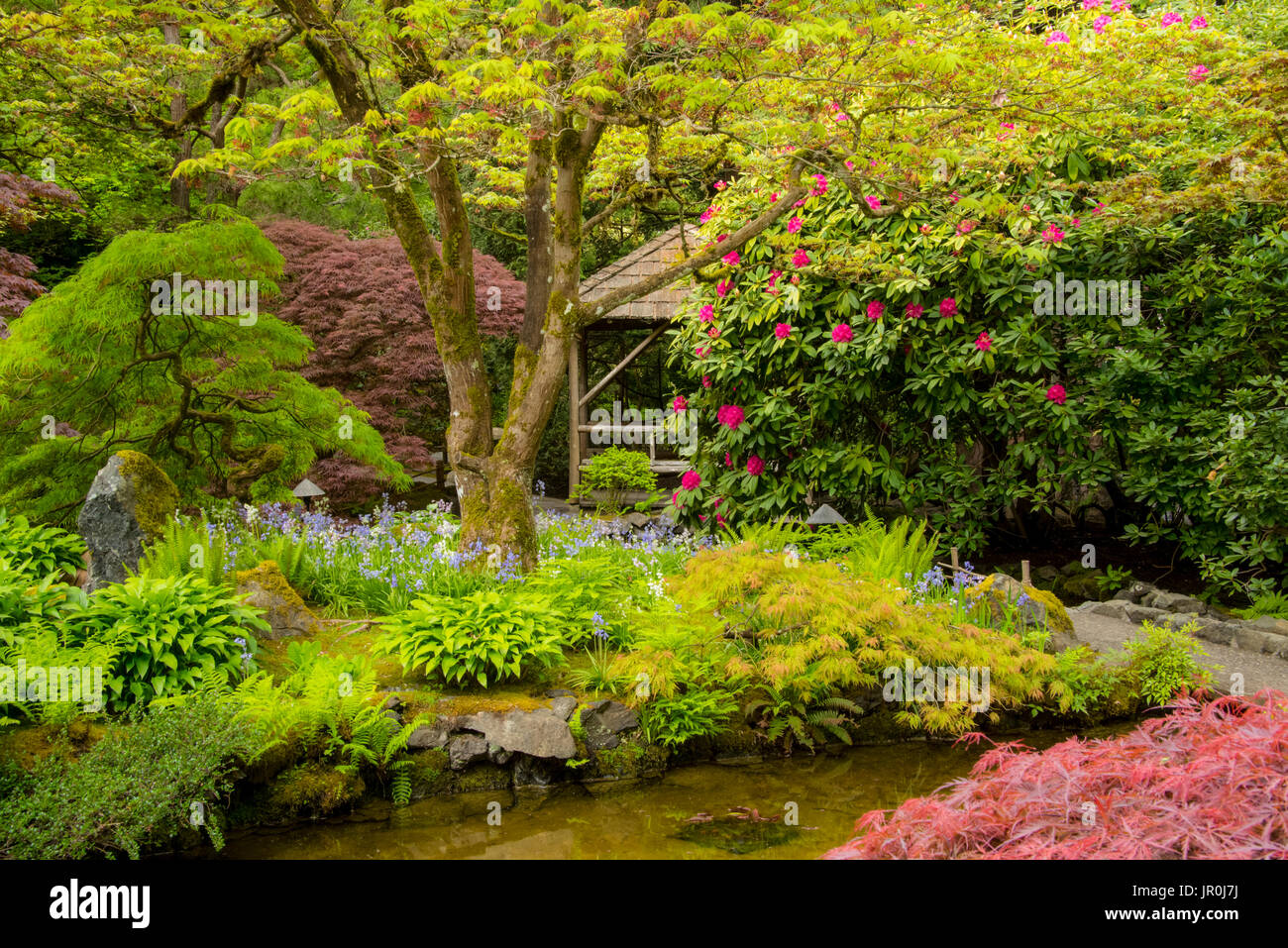 Jardin japonais à Butchart Gardens, Victoria, Colombie-Britannique, Canada Banque D'Images