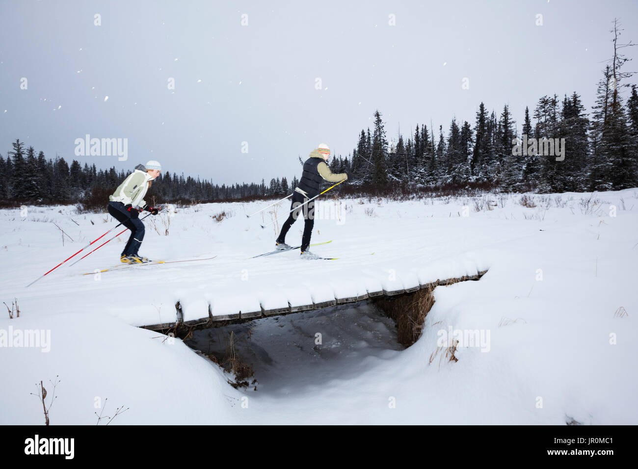 Ski de fond sur un petit pont en hiver ; Homer, Alaska, United States of America Banque D'Images