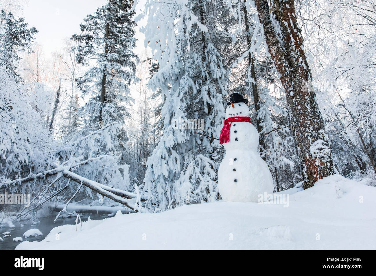 Le Snowman le long de la forêt couverte de givre au coucher du soleil, Anchorage, Southcentral Alaska, USA Banque D'Images