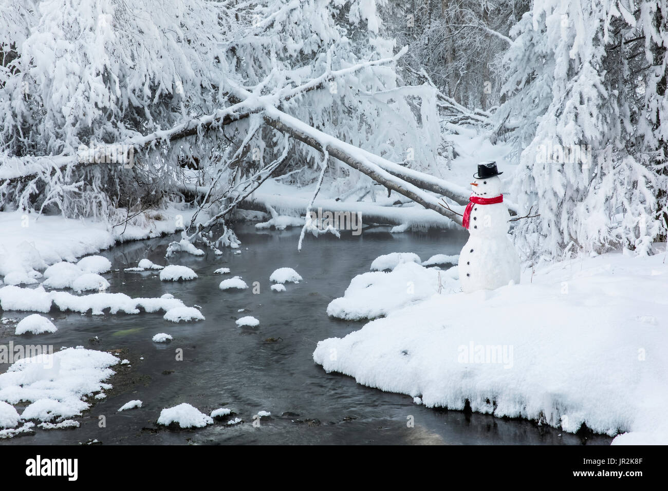 Le Snowman avec écharpe et chapeau à côté d'un givre couverts forêt et ruisseau, Anchorage, Southcentral Alaska, USA Banque D'Images