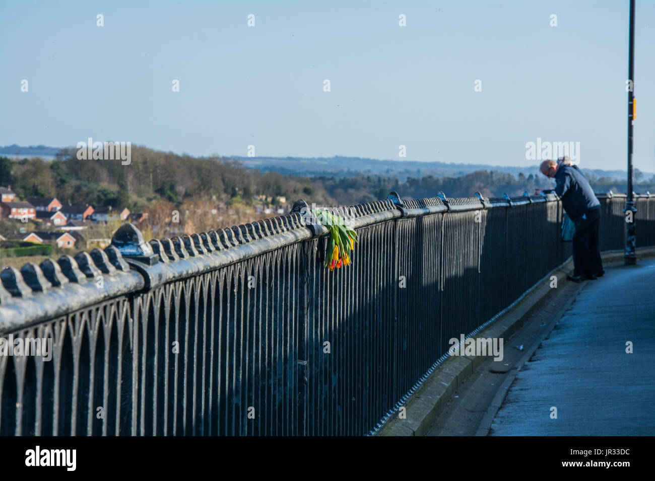 Un bouquet de tulipes de flétrissement pendait sur une balustrade pour marquer une tragédie. C'est tristesse, chagrin, la perte et le suicide. Banque D'Images