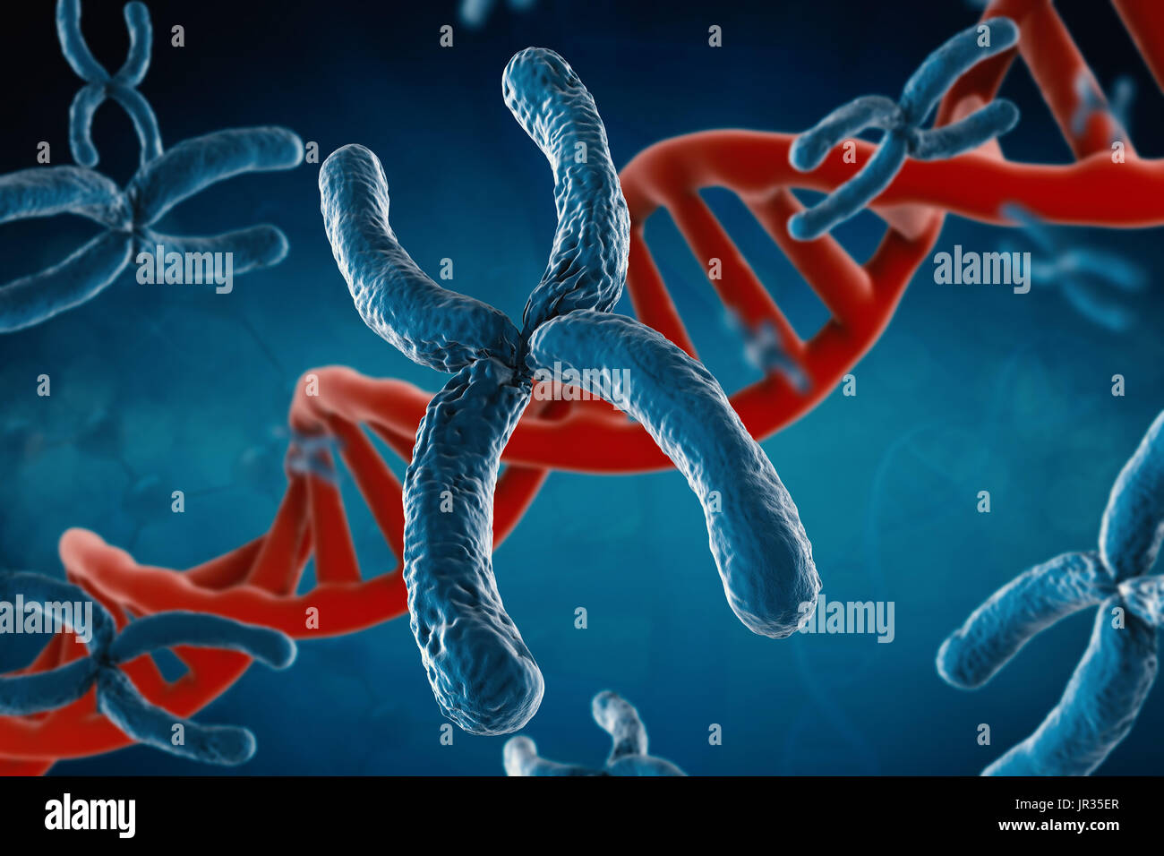 Le rendu 3d avec de l'ADN chromosomique bleu helice sur fond bleu Banque D'Images