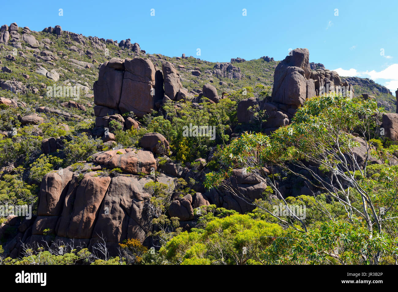 Paysage sauvage du mont Amos de Wineglass Bay Lookout dans le parc national de Freycinet sur la côte Est de la Tasmanie, Australie Banque D'Images