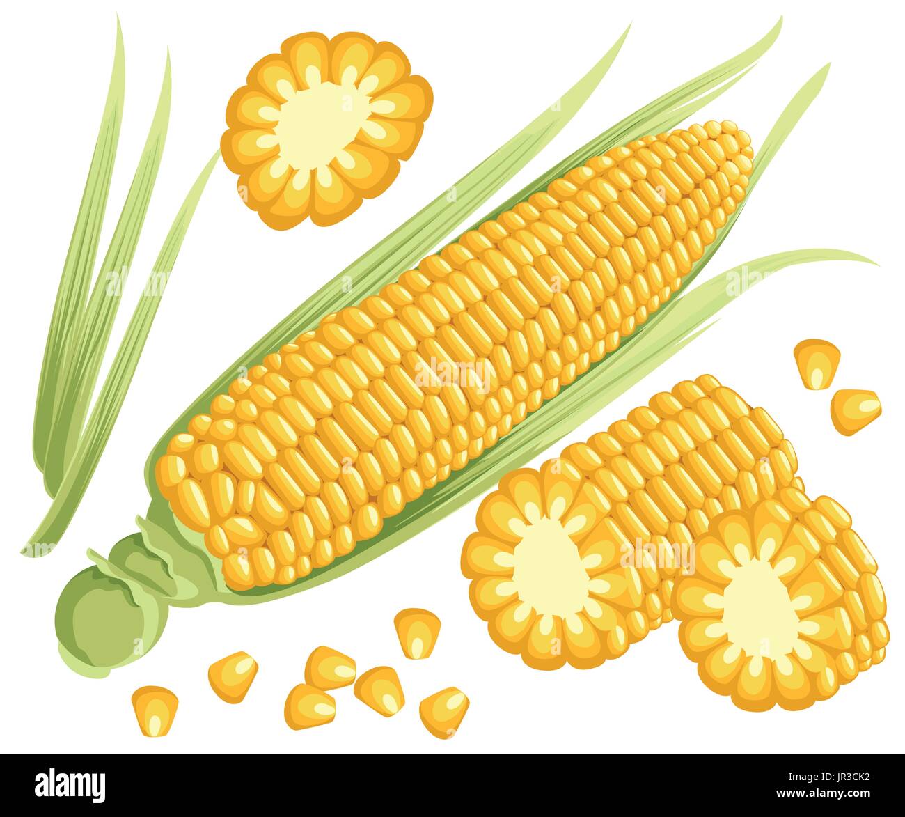 Sur les épis de maïs jaune, inflorescence mâle et de feuilles isolées vector illustration de maïs doré doux. Tas de maïs. éléments de conception W ferme l'été Illustration de Vecteur