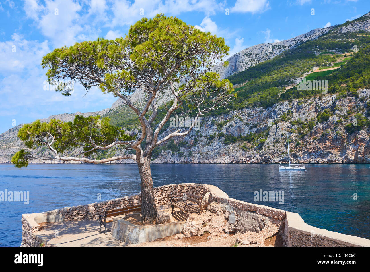 Pin, symbole de sveta nedilja plenkovic, dans, connu sous le nom de høvringen sur l'île croate de Hvar. Il est situé près de la ville de Hvar Banque D'Images