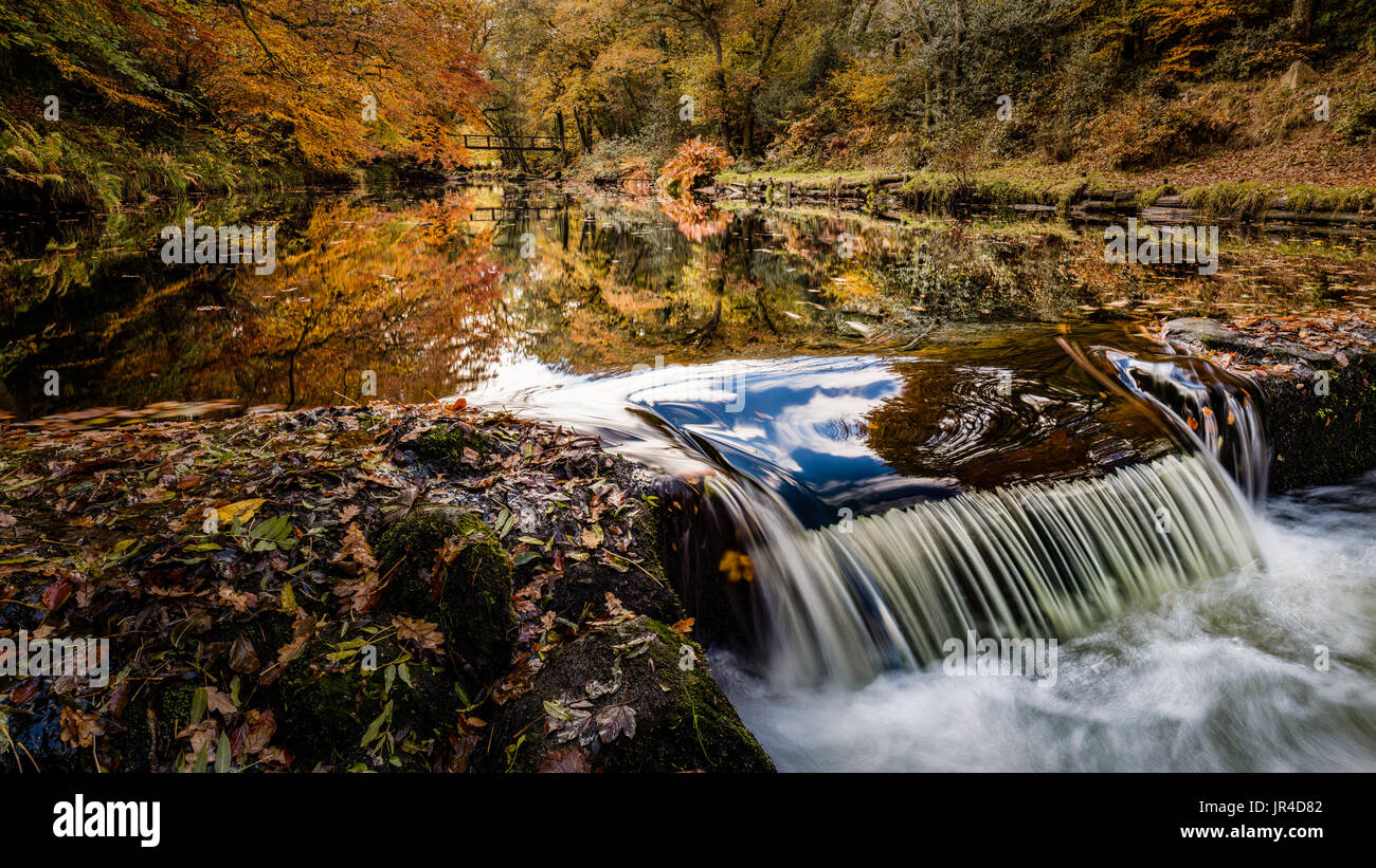 Un déversoir de la création d'un reflet de couleurs d'automne sur la rivière Teign près de Castle Drogo dans Dartmoor National Park, Devon, Angleterre, Royaume-Uni. Banque D'Images