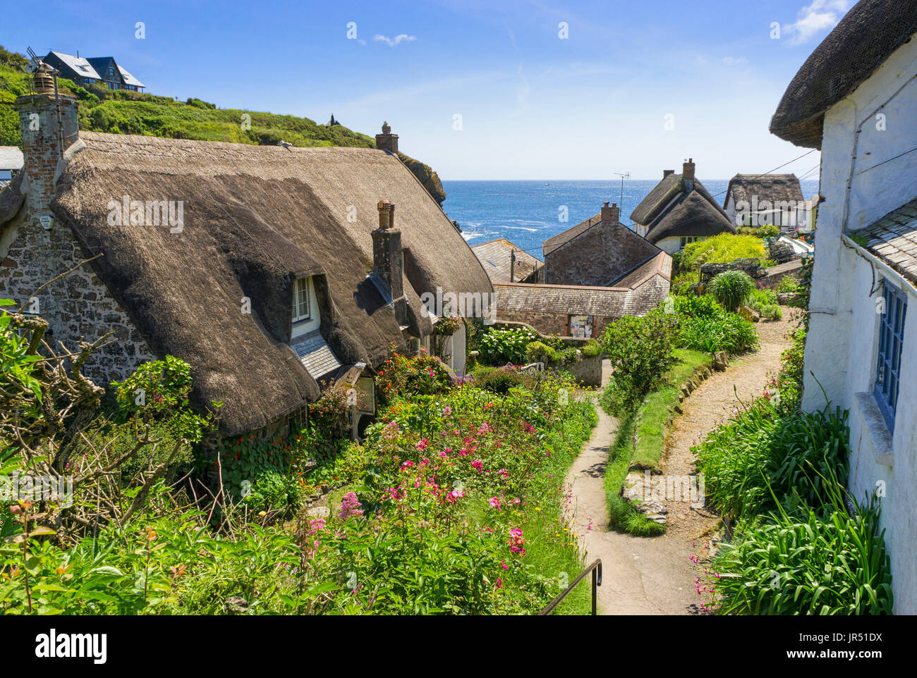 Sur un toit de chaume chaumière à Cadgwith Cove, péninsule du Lézard, Cornwall, England, UK Banque D'Images