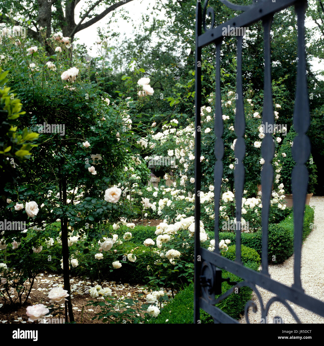 Ouvrir la porte menant à un jardin de roses Banque D'Images