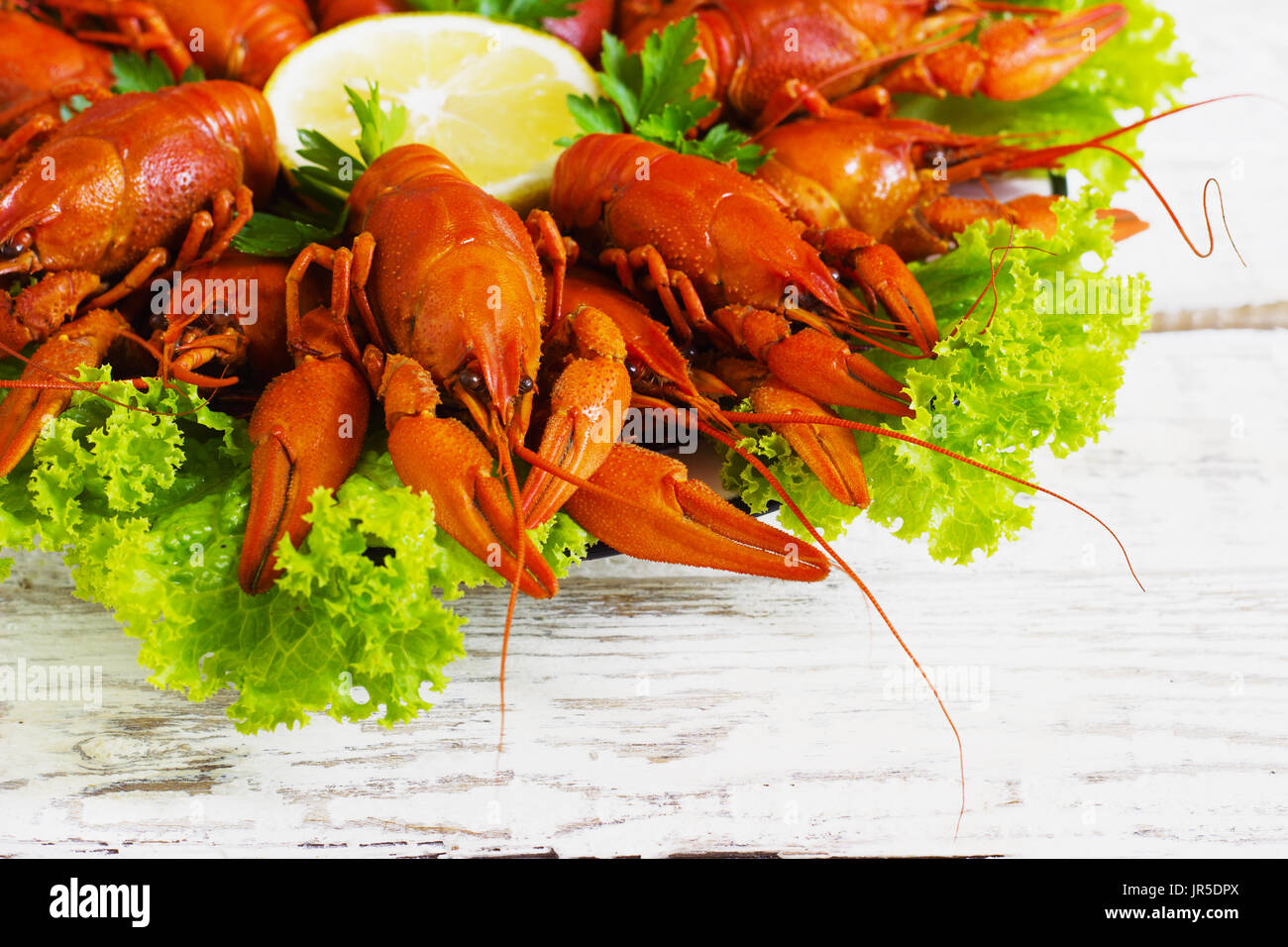 Langouste à fond blanc en bois dans une assiette Banque D'Images