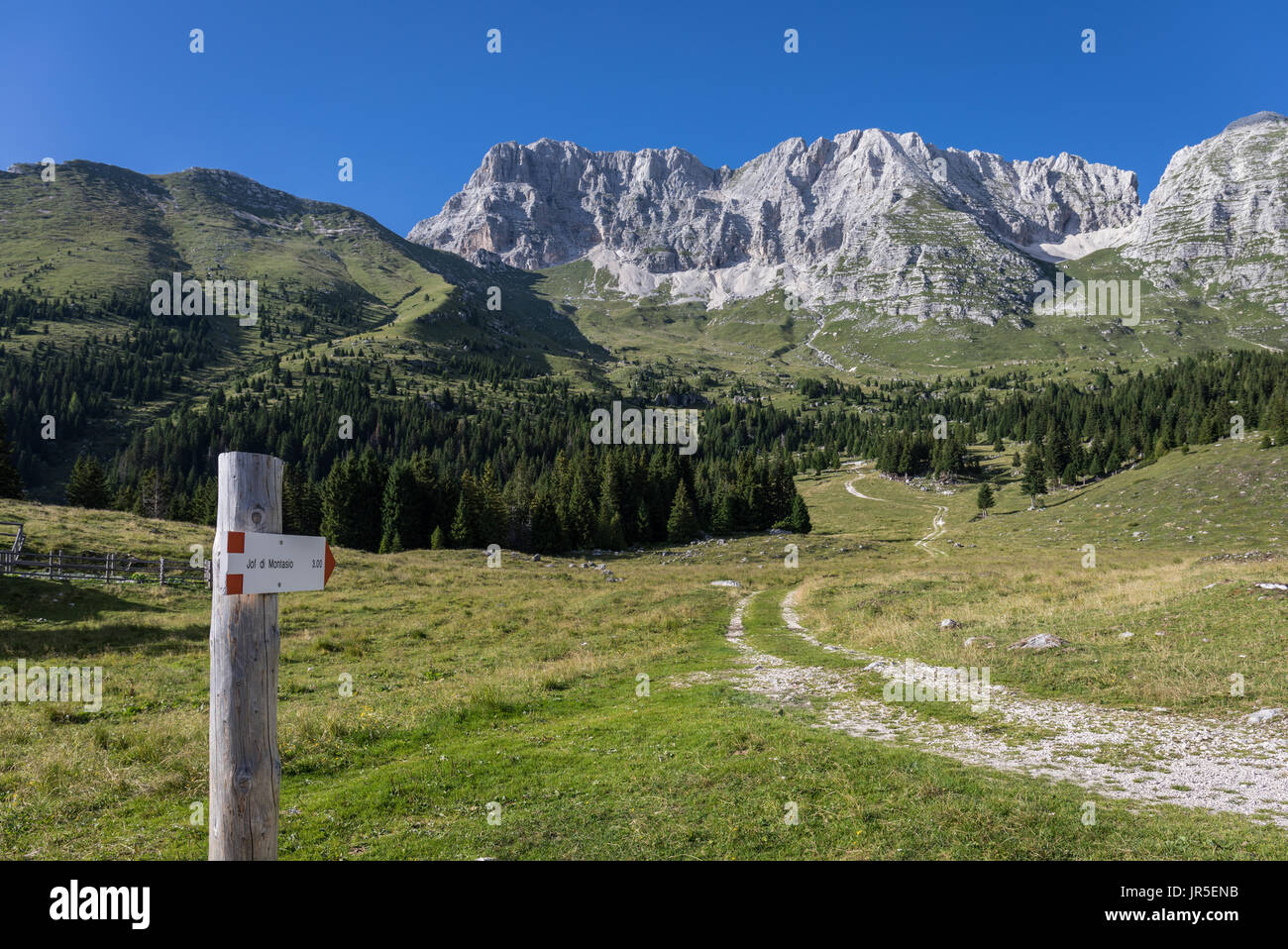 Panneau en bois indiquant le sentier de randonnée à Jof di Montasio, Alpes Juliennes, Friuli Venezia Giulia, Italie Banque D'Images