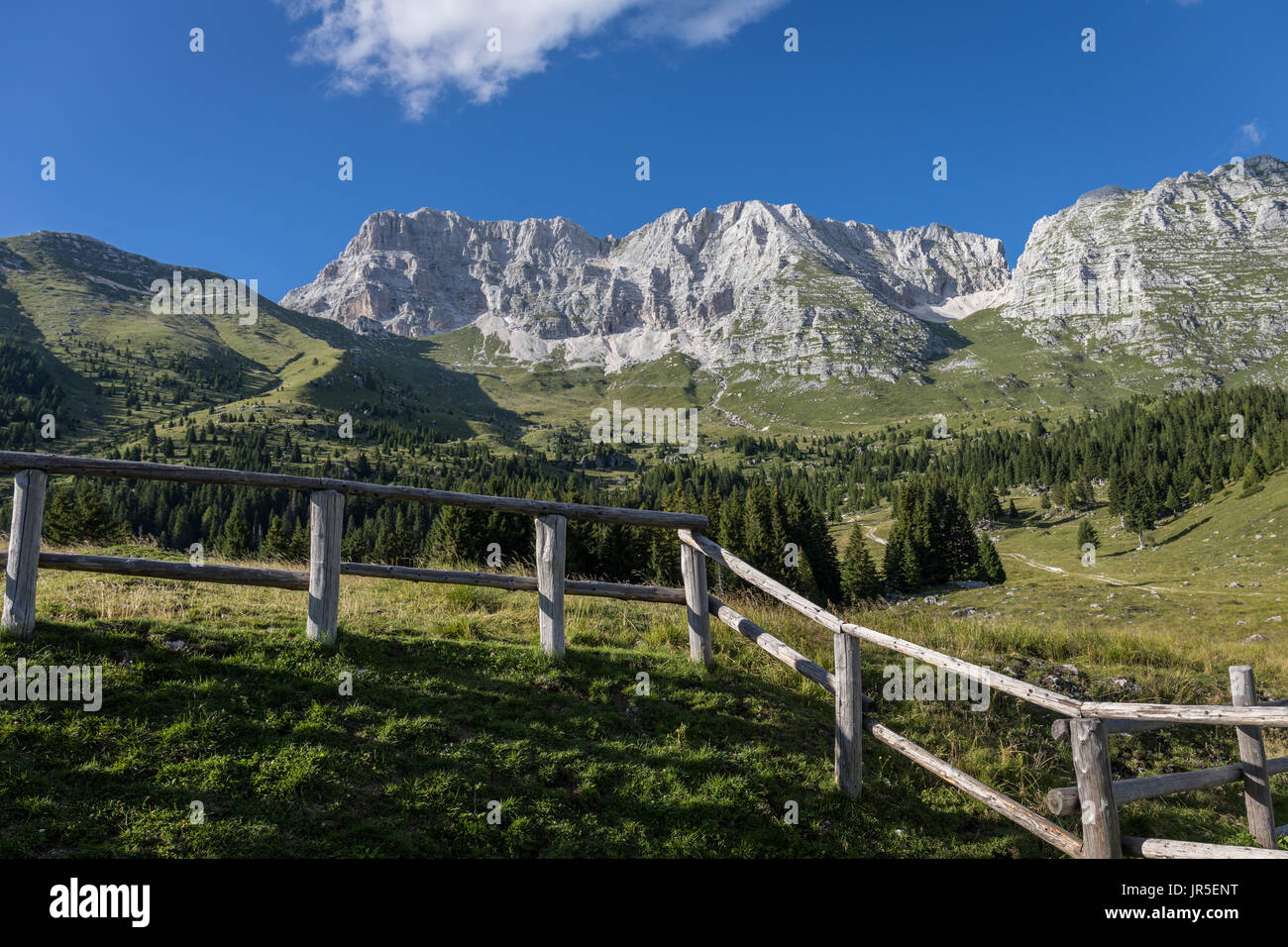 Les hautes terres de l'Altopiano del Montasio (Montasio), les Alpes Juliennes, Friuli Venezia Giulia, Italie Banque D'Images