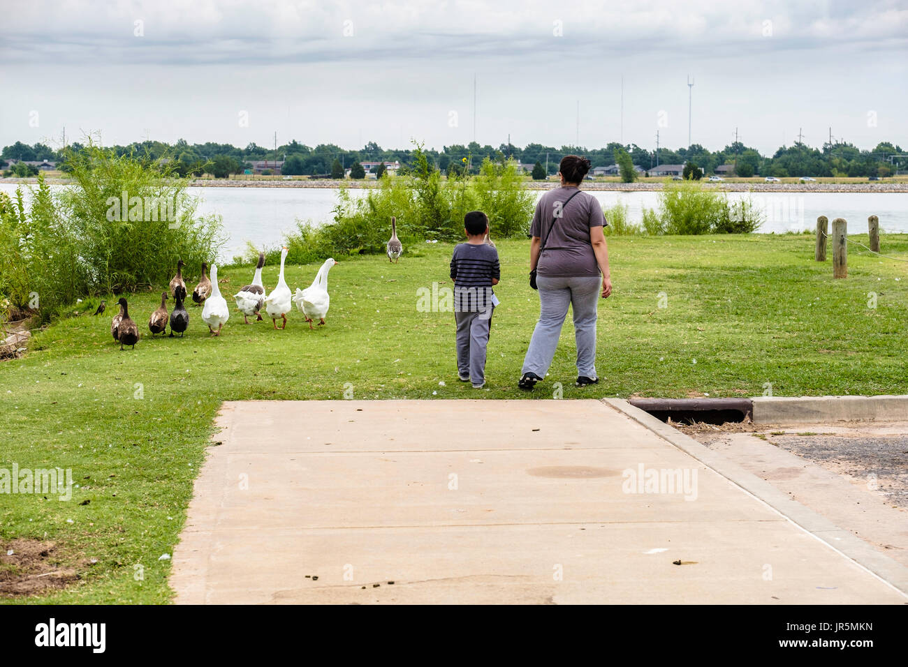 Hispanic woman and young boy profiter les oies et le lac à Oklahoma City, Oklahoma, USA. Banque D'Images