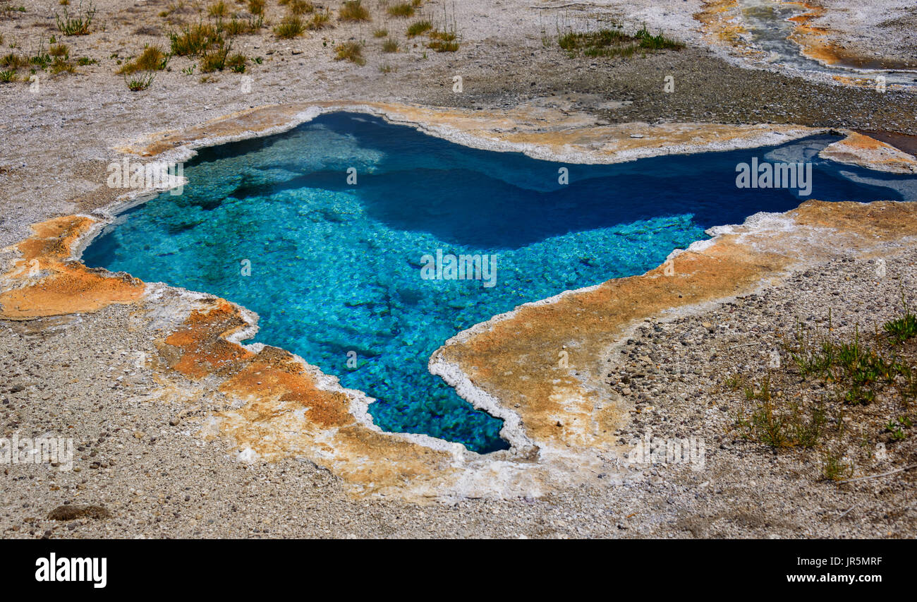 Blue Star printemps. jolie piscine bleu juste derrière old faithful. Le parc national de Yellowstone Banque D'Images