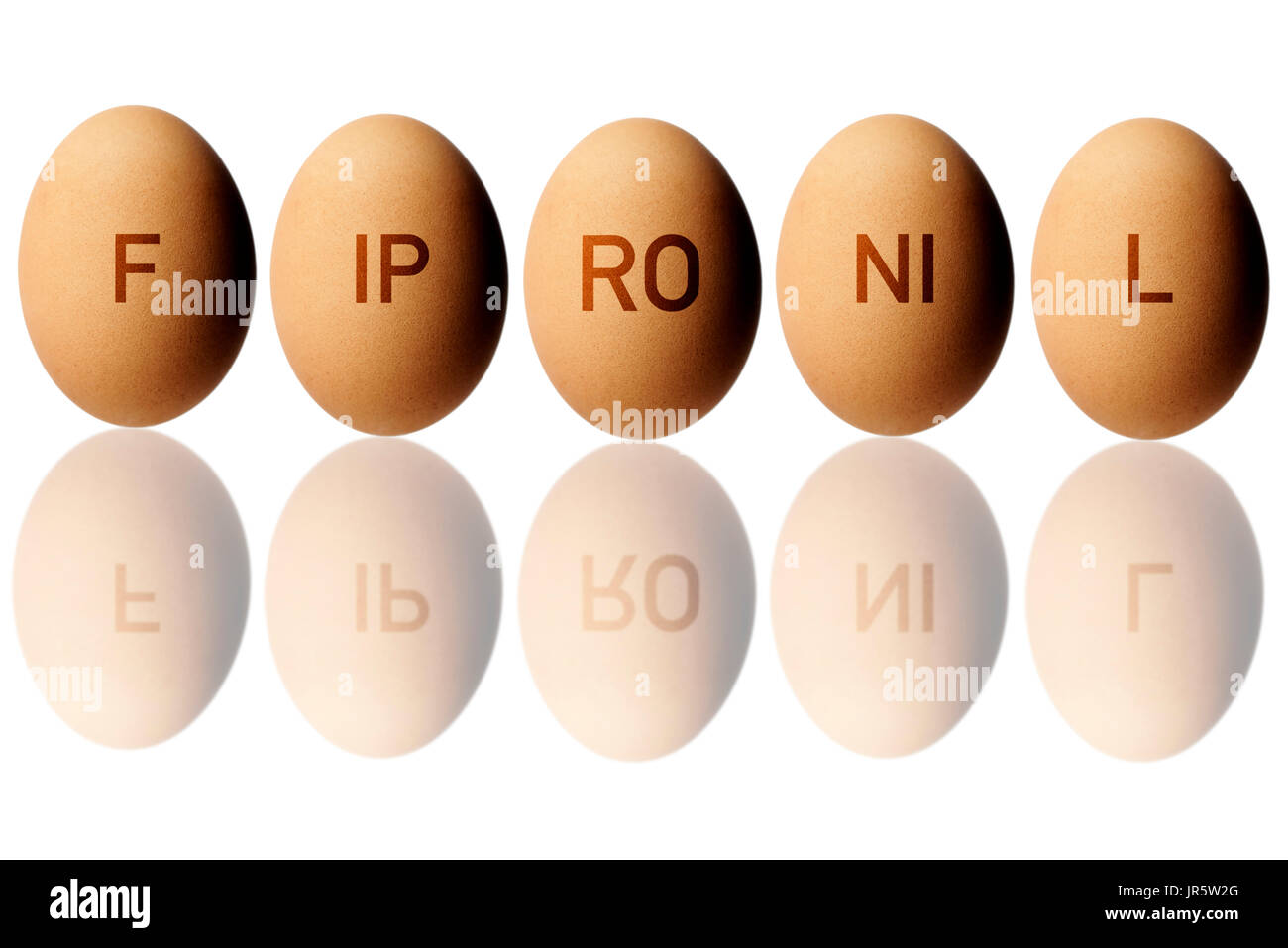 Les œufs contaminés par le fipronil Banque D'Images