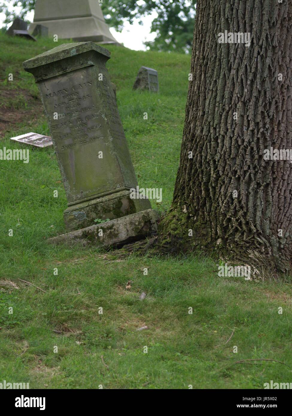 Une pierre tombale près de tombstone tronc de l'arbre Banque D'Images