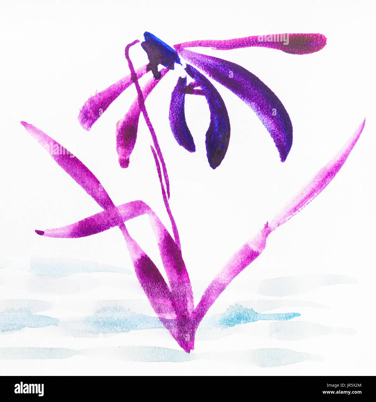 La formation en dessin suibokuga with style - orchidée fleur magenta sur papier blanc Banque D'Images