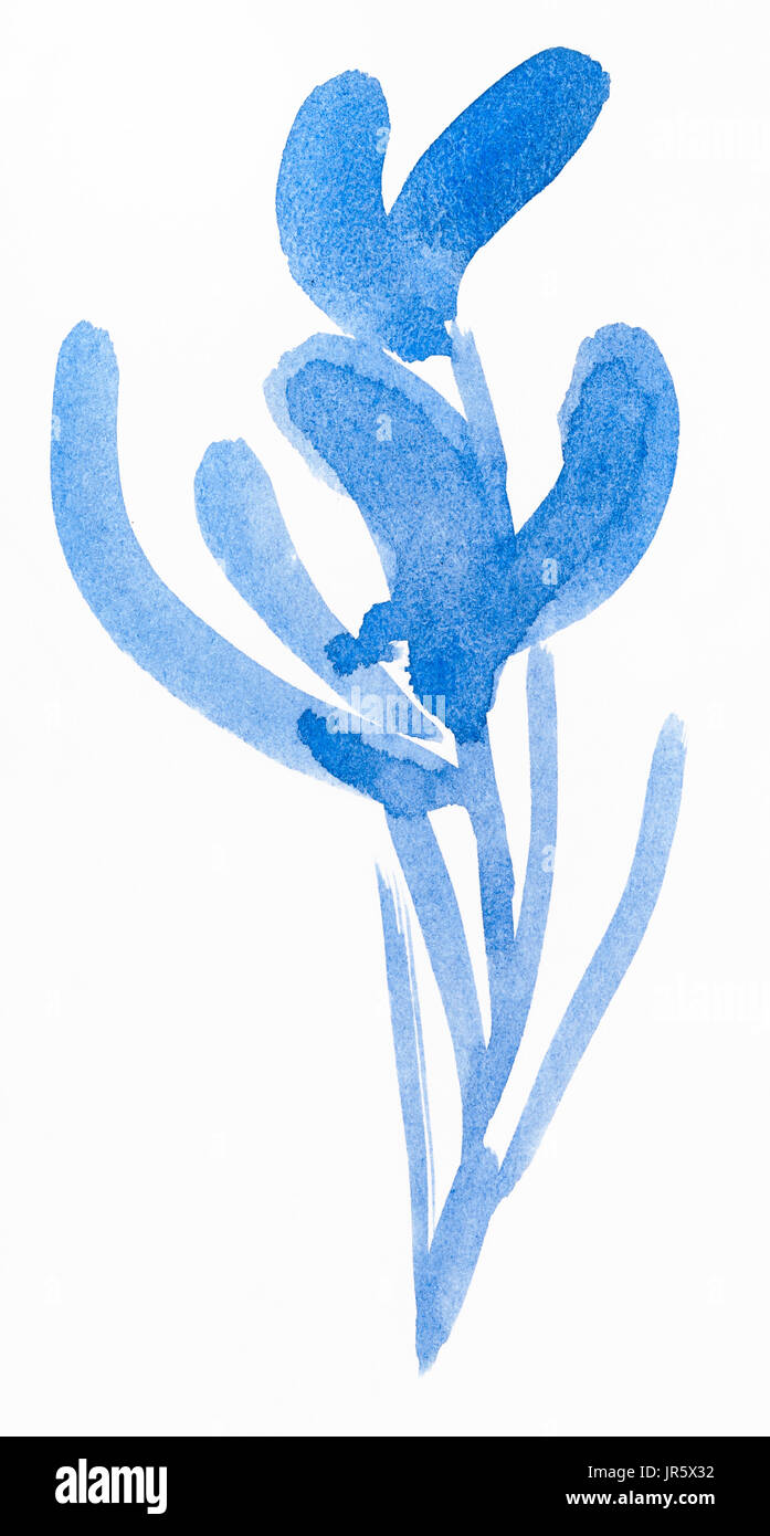 La formation en dessin suibokuga with style - croquis de l'orchidée, fleur bleu sur papier blanc Banque D'Images
