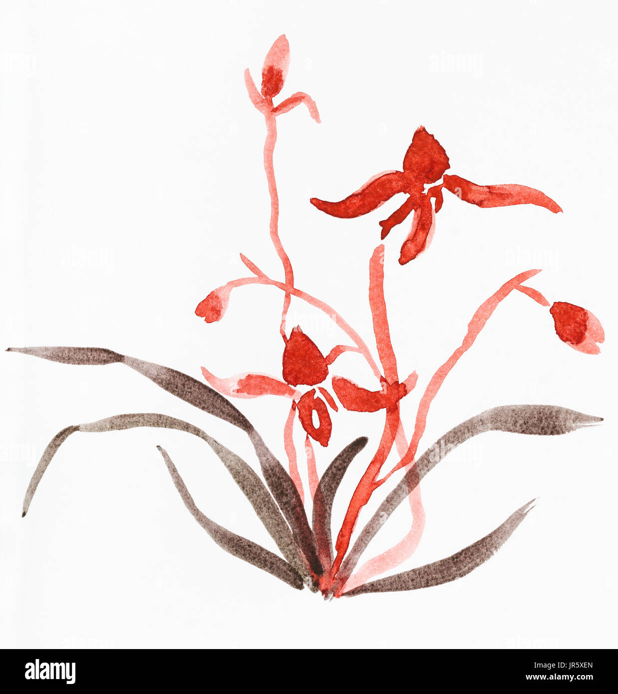 La formation en dessin suibokuga with style - croquis de l'orchidée, fleur sur papier blanc Banque D'Images