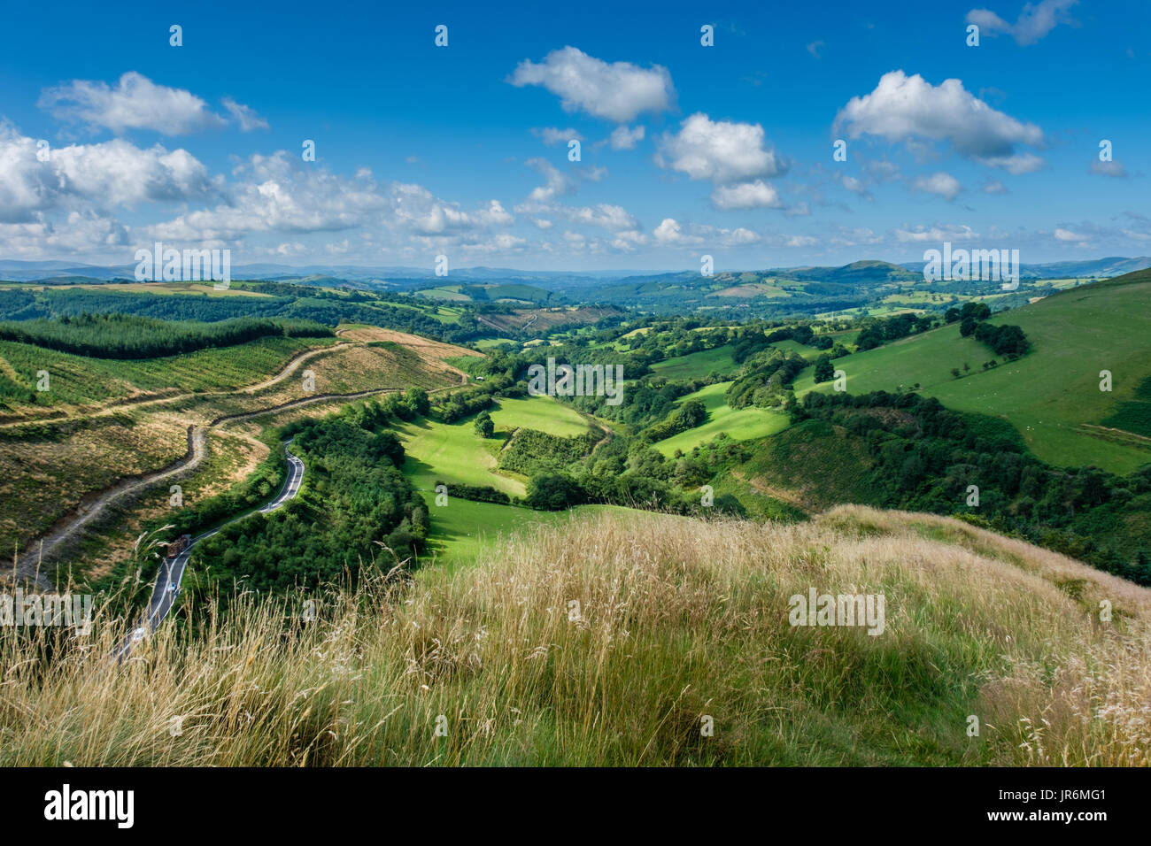 À l'échelle du, de Pain de Sucre, près de Cynghordy, Carmarthenshire, Pays de Galles, Royaume-Uni Banque D'Images