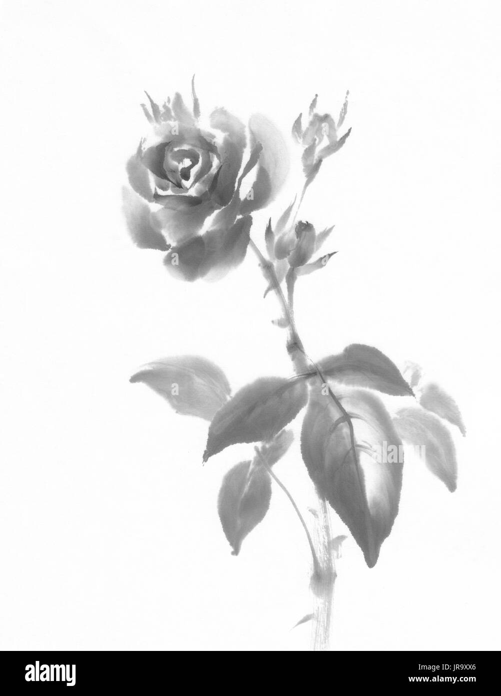 Peinture encre fleur rose Banque D'Images