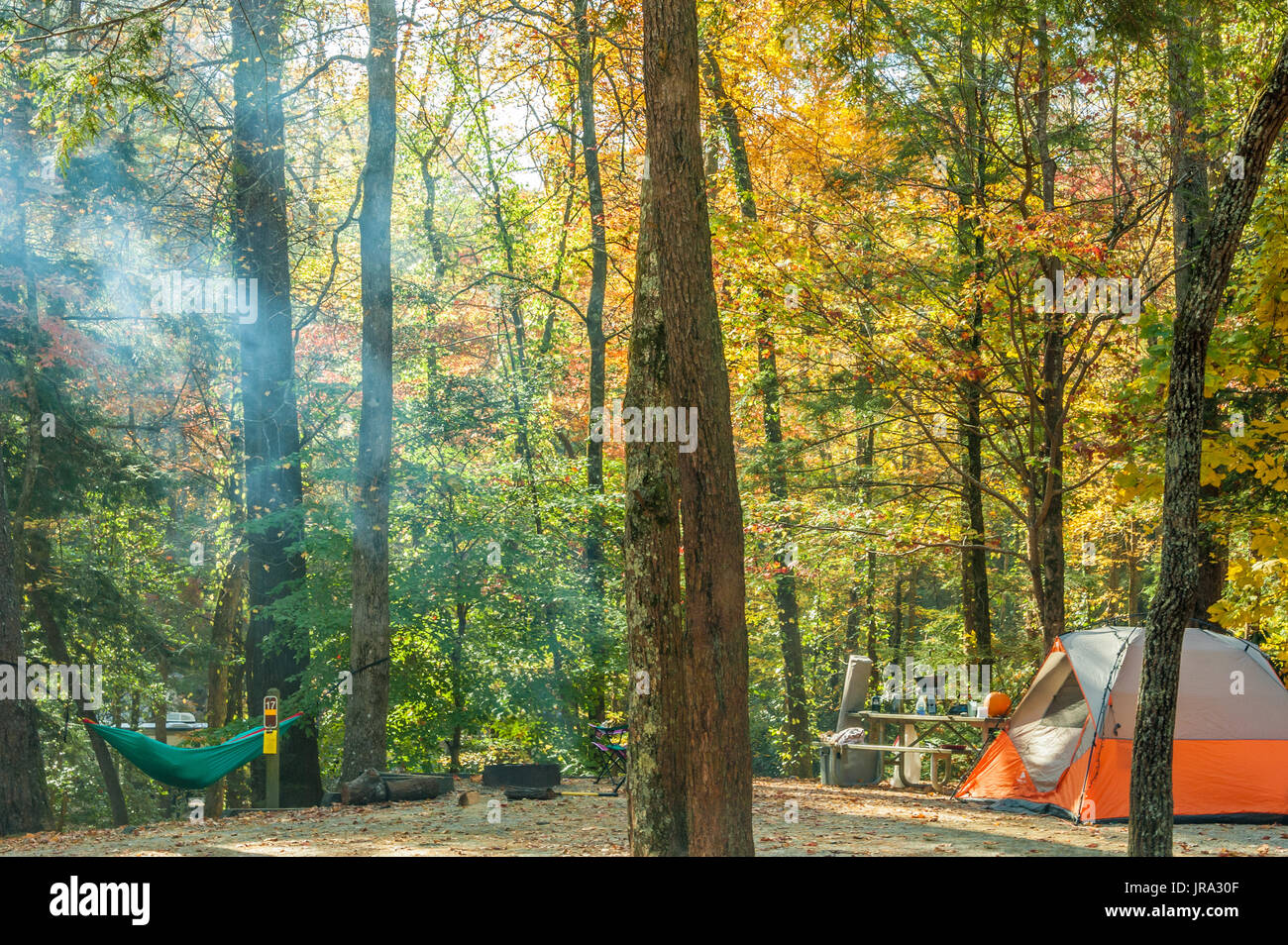 Tente camping-se reposant dans un hamac comme la fumée de feu de camp au milieu des arbres les prises du soleil sur un beau matin d'automne dans les montagnes Blue Ridge. (USA) Banque D'Images