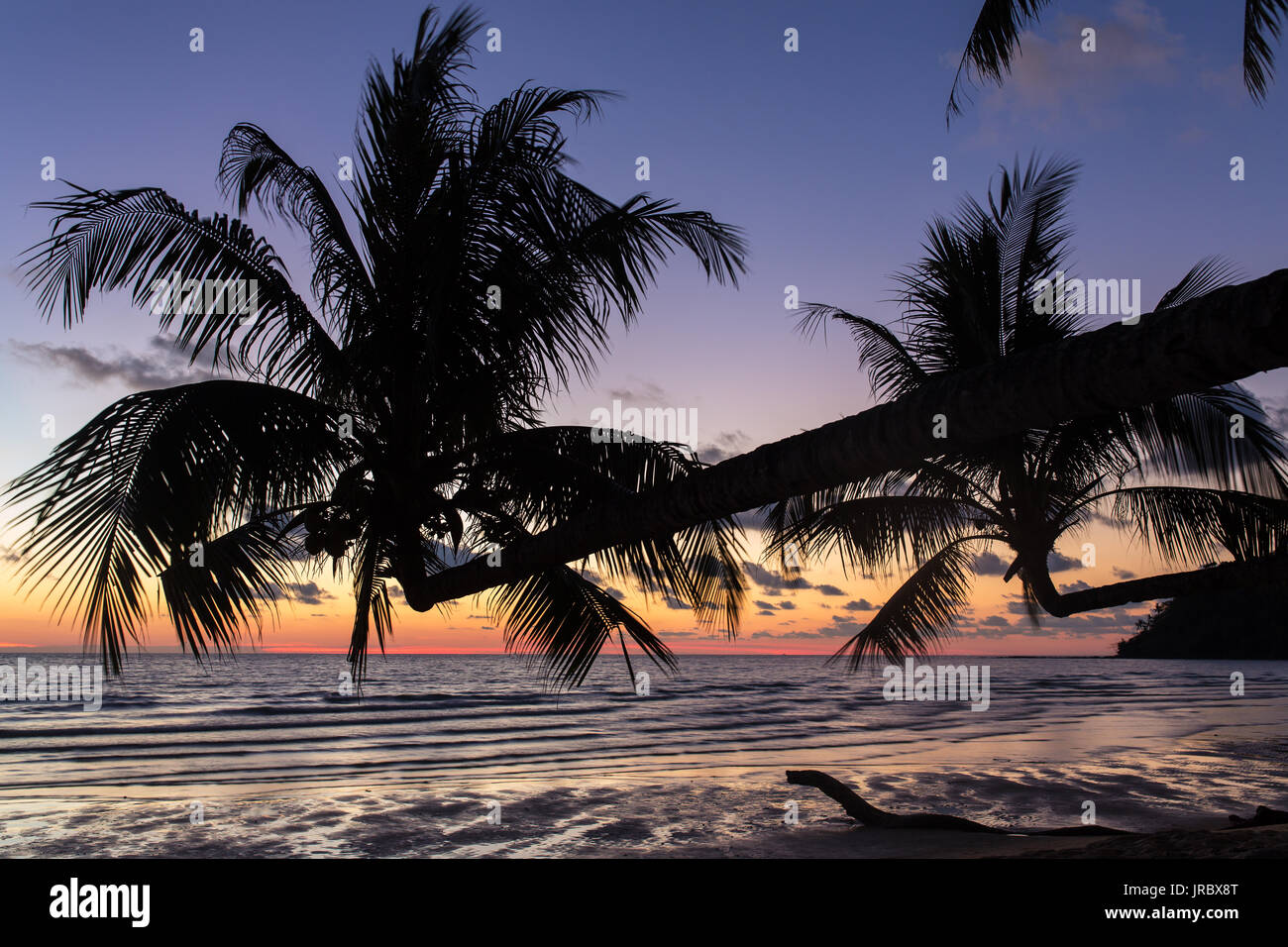 Palmiers au coucher du soleil sur une magnifique plage tropicale sur l'île de Thaïlande Koh Kood Banque D'Images