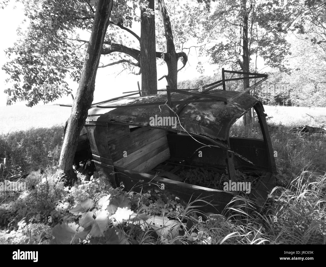 Domaine de l’or Banque D'Images