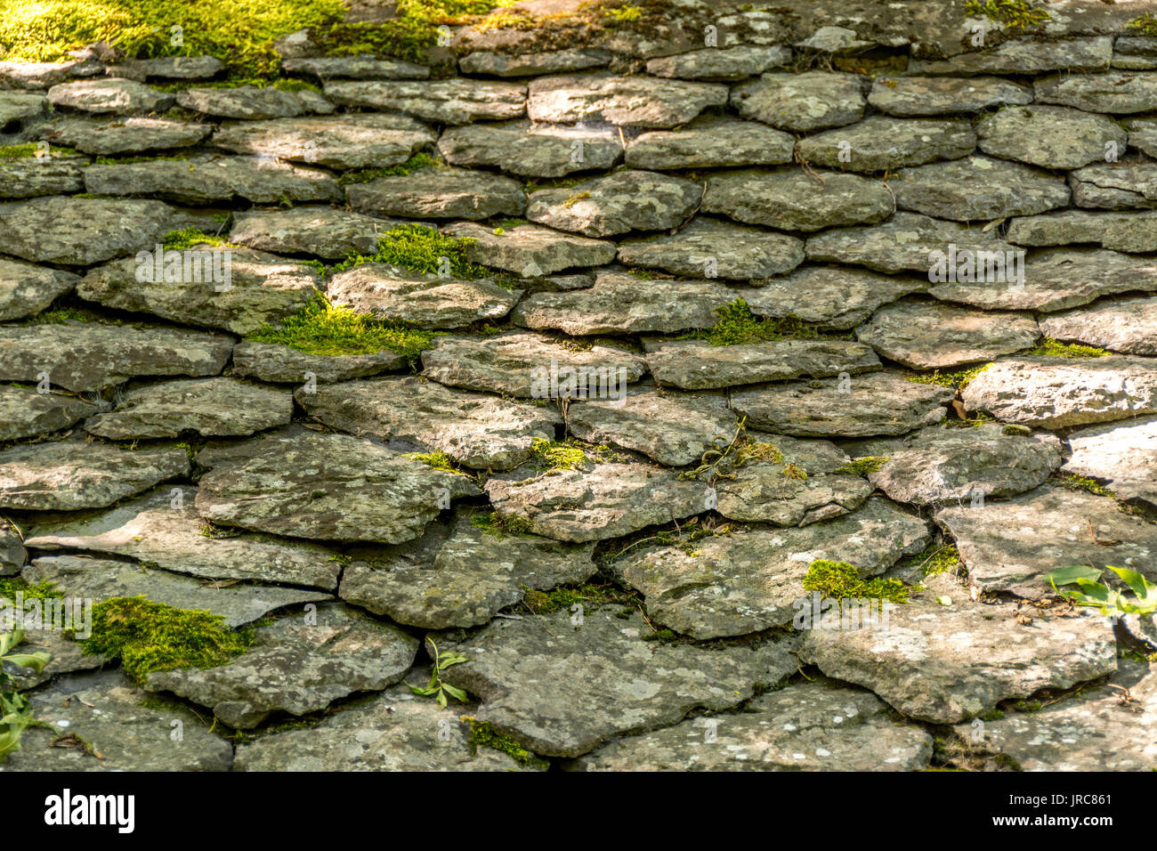 Gros plan d'un sol en pierre avec des pierres de forme égale, Puy de Dome, Auvergne, France Banque D'Images