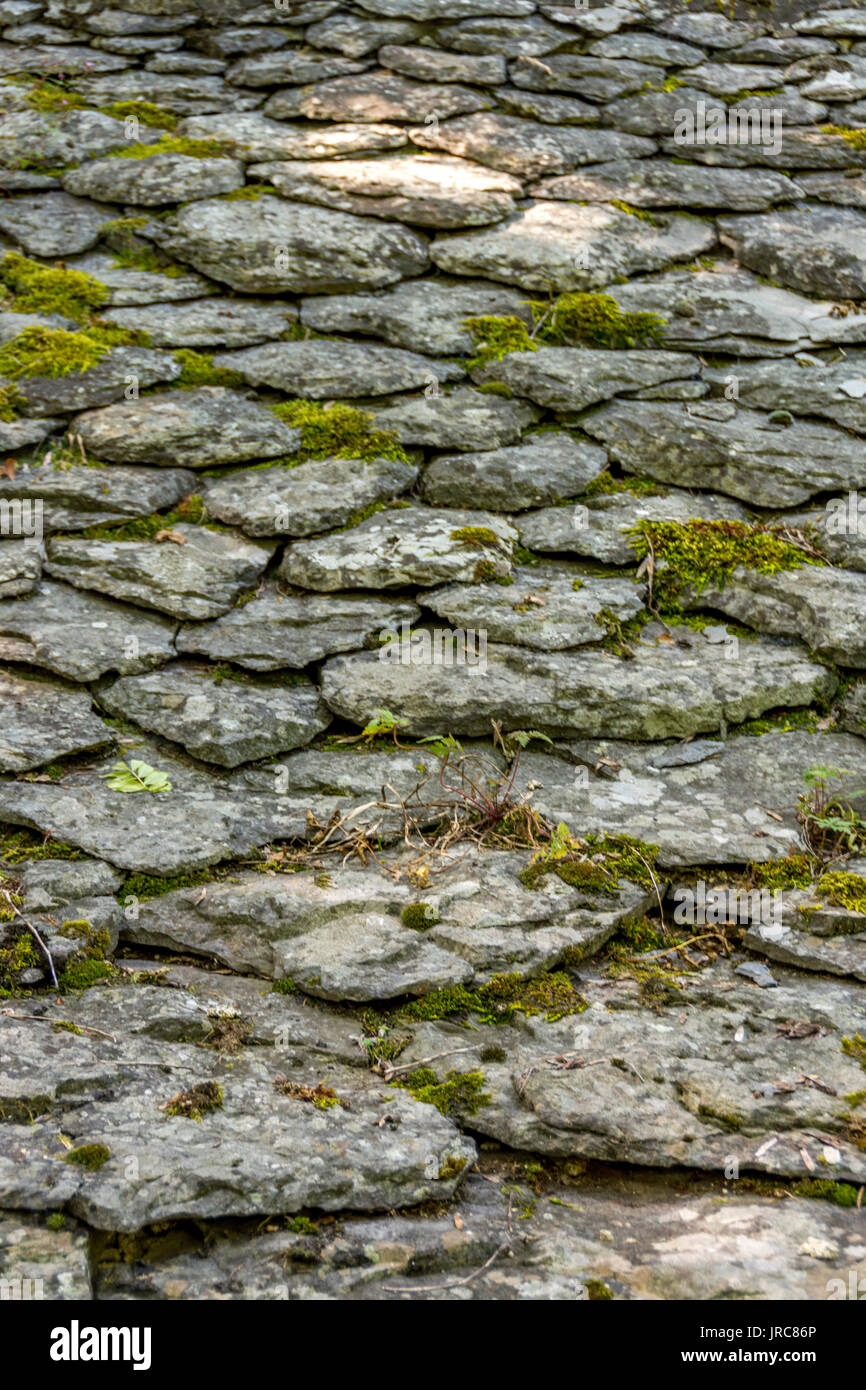 Un toit de tuiles en pierre typique, puy de dome, Auvergne, France Banque D'Images