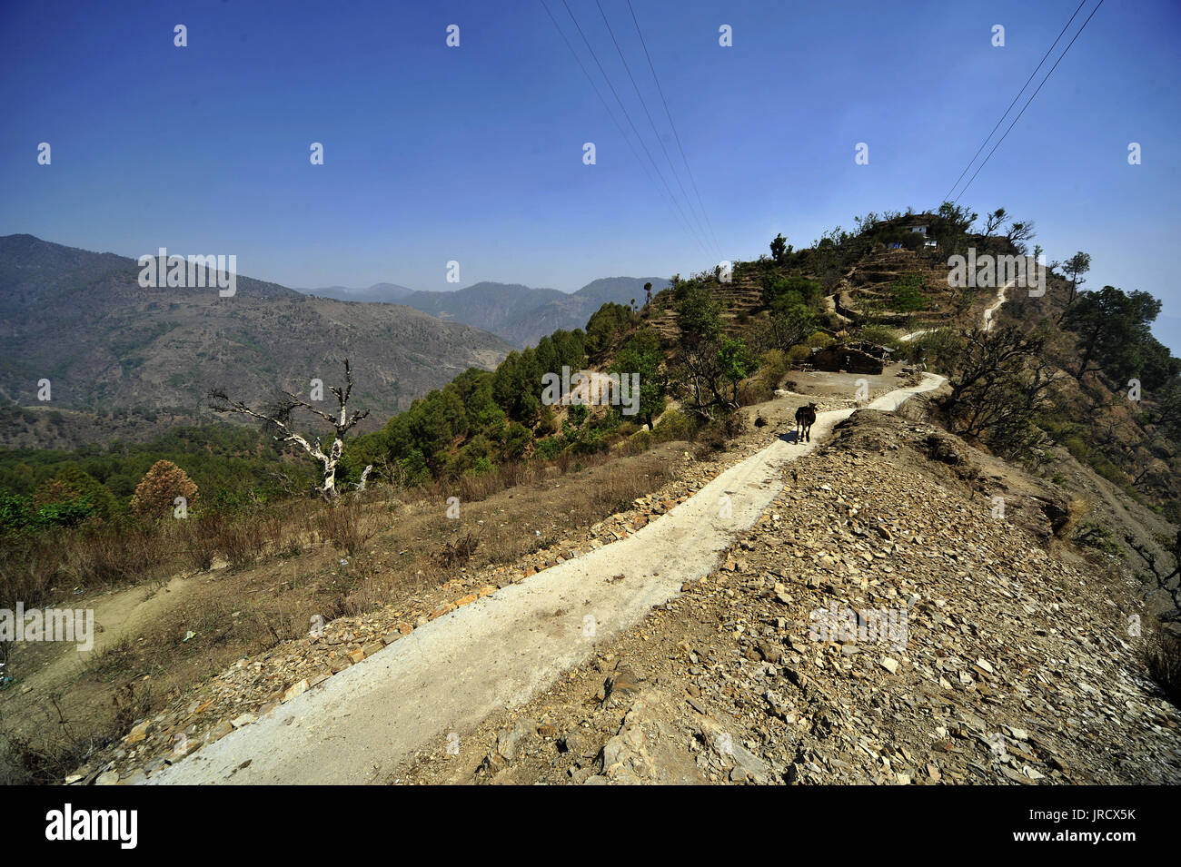 Tulla Kote est un village isolé de la région de Tallas des, rendu célèbre par Jim Corbett dans son livre The Temple Tigers, Northern India. Banque D'Images