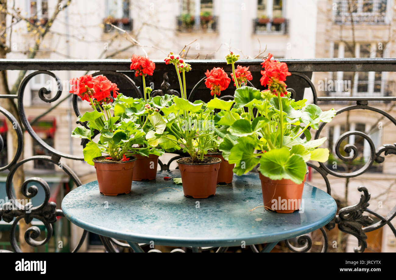 Le petit-déjeuner sur le balcon à Paris au printemps Banque D'Images