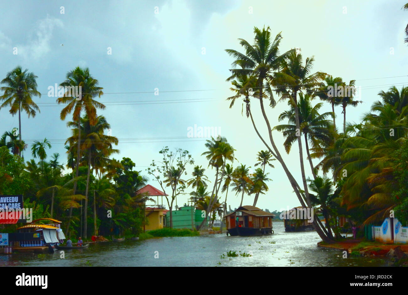 Belle Kerala backwaters Banque D'Images