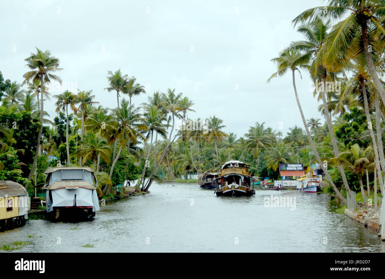 Belle Kerala backwaters Banque D'Images