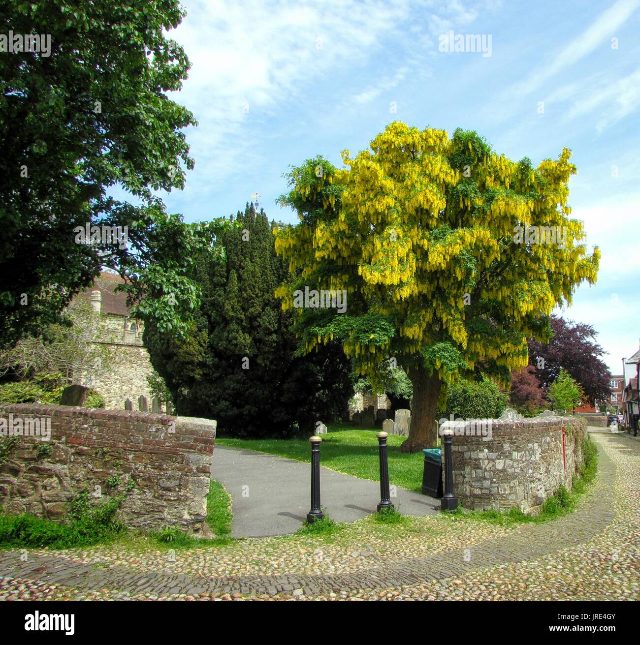 Les bâtiments et les paysages de Rye, East Sussex, UK. Banque D'Images