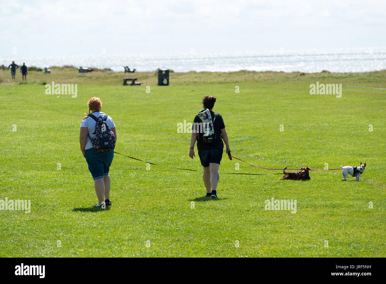 Walney Island, Barrow-in-Furness, Cumbria, Royaume-Uni, 5th août 2017. Un soleil éclatant sur Biggar Bank. Femmes marchant avec des chiens au soleil éclatant et à l'air frais de la côte exposée sur la côte nord-ouest de l'Angleterre. Banque D'Images