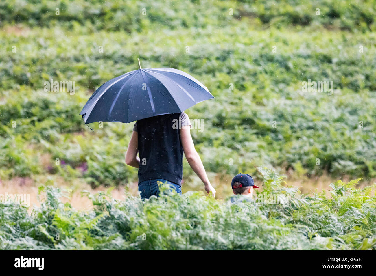 Flintshire, au nord du Pays de Galles, 5 août 2017 UK Weather. Le tonnerre et la foudre à travers certaines régions du Royaume-Uni avec des personnes d'être piégés par les averses soudaines comme ces promeneurs intrépides trouvés dehors dans la gamme Clwydian Hills, Flintshire Â©/DGDImages Alamy Live News Banque D'Images