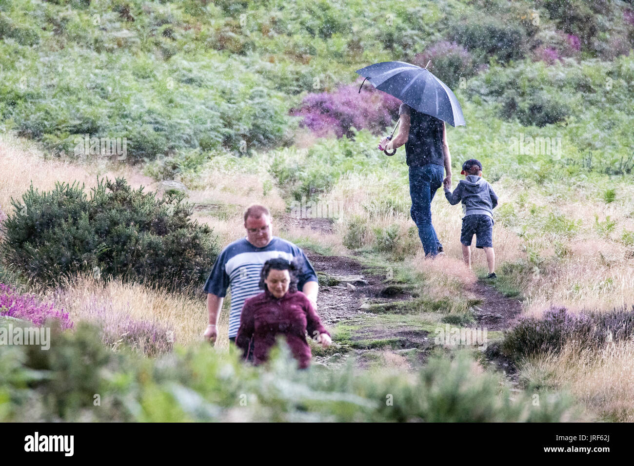 Flintshire, au nord du Pays de Galles, 5 août 2017 UK Weather. Le tonnerre et la foudre à travers certaines régions du Royaume-Uni avec des personnes d'être piégés par les averses soudaines comme ces marcheurs n'ont pas tardé à découvrir lors d'une promenade jusqu'Moel Arthur, Flintshire © DGDImages/Alamy Live News Banque D'Images