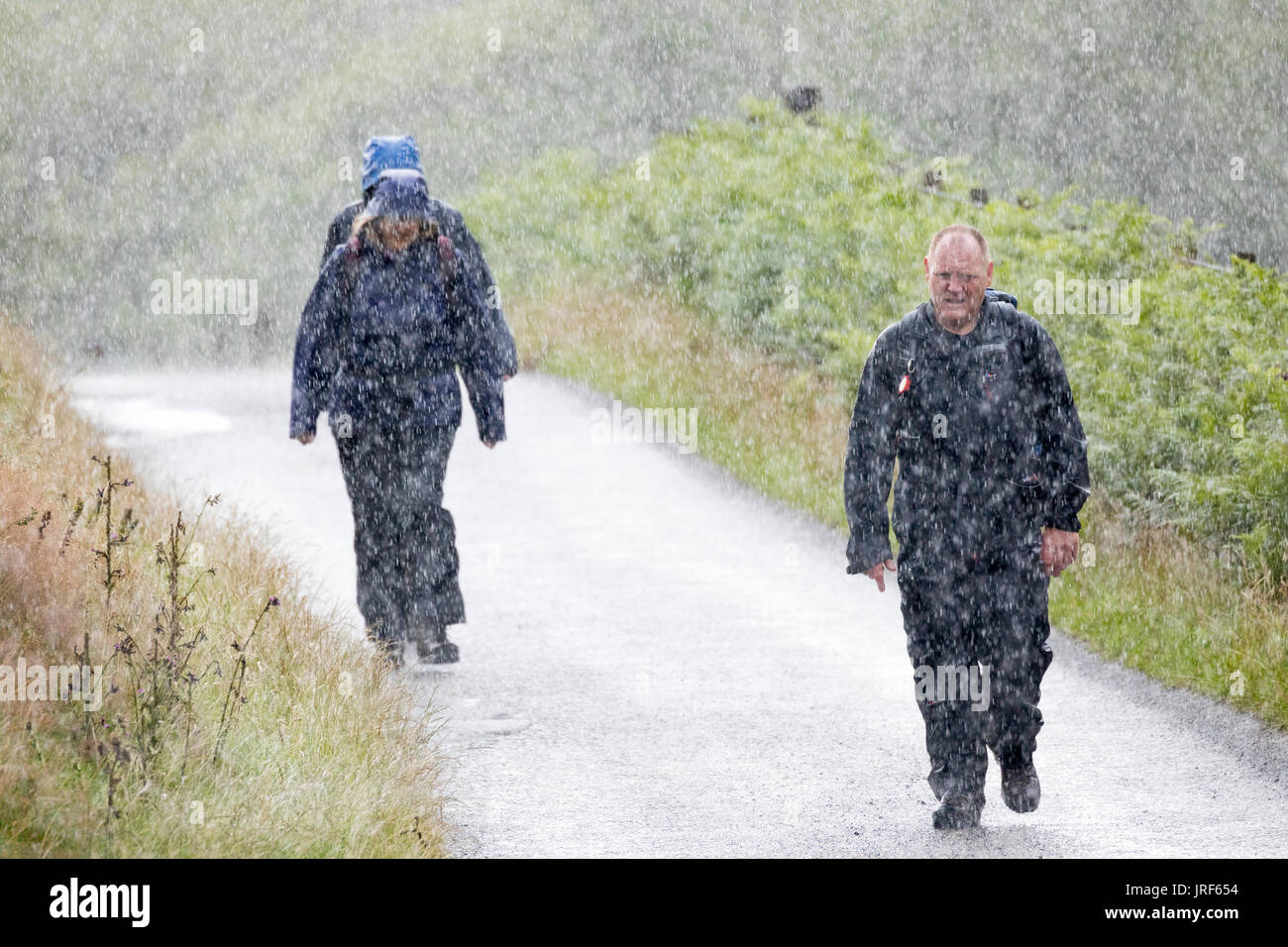 Flintshire, au nord du Pays de Galles, 5 août 2017 UK Weather. Le tonnerre et la foudre à travers certaines régions du Royaume-Uni avec des personnes d'être piégés par les averses soudaines comme ces marcheurs découvert dans la gamme Clwydian Hills, Flintshire © DGDImages/Alamy Live News Banque D'Images