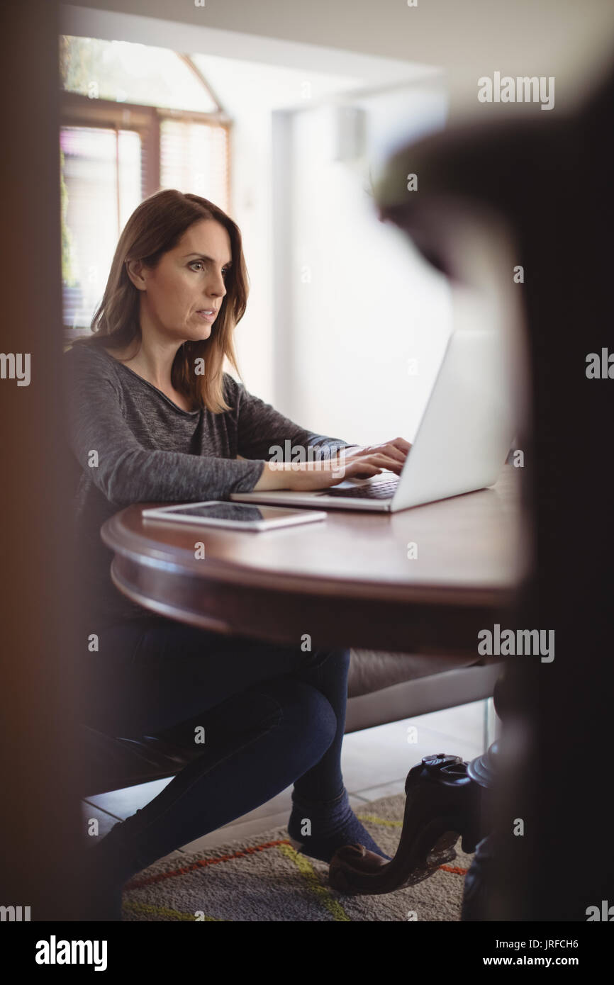 Woman using laptop in drawing room à la maison Banque D'Images