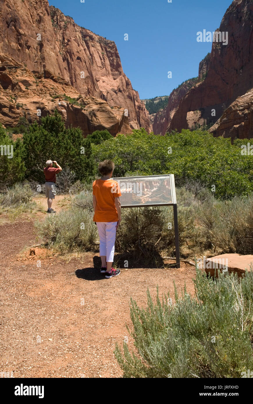 Couple de personnes âgées de race blanche à Kolob Canyons au parc national de Zion Springdale, Utah, États-Unis. Banque D'Images