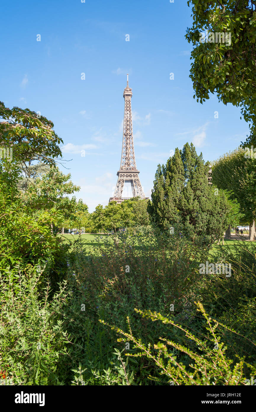 La tour Eiffel au milieu des arbres contre le ciel bleu à Paris Banque D'Images