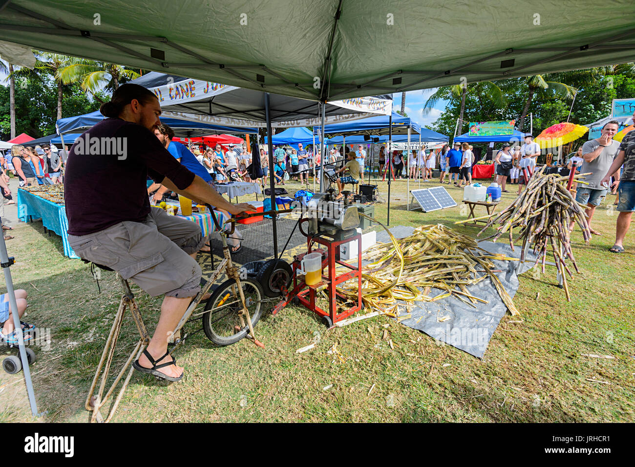 La canne à sucre par concassage masculins de la bicyclette au marchés du dimanche, Port Douglas, Far North Queensland, Queensland, Australie, FNQ Banque D'Images