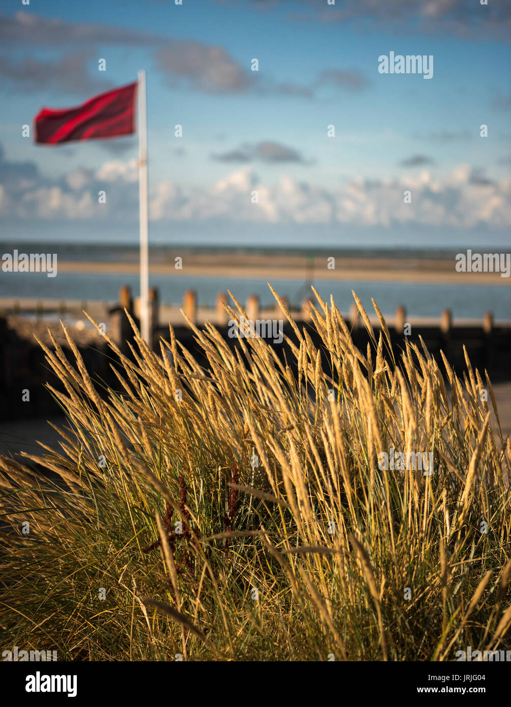 Les graminées dans les dunes de sable de plage avec drapeau d'avertissement à West Wittering Beach, West Sussex, Angleterre Banque D'Images