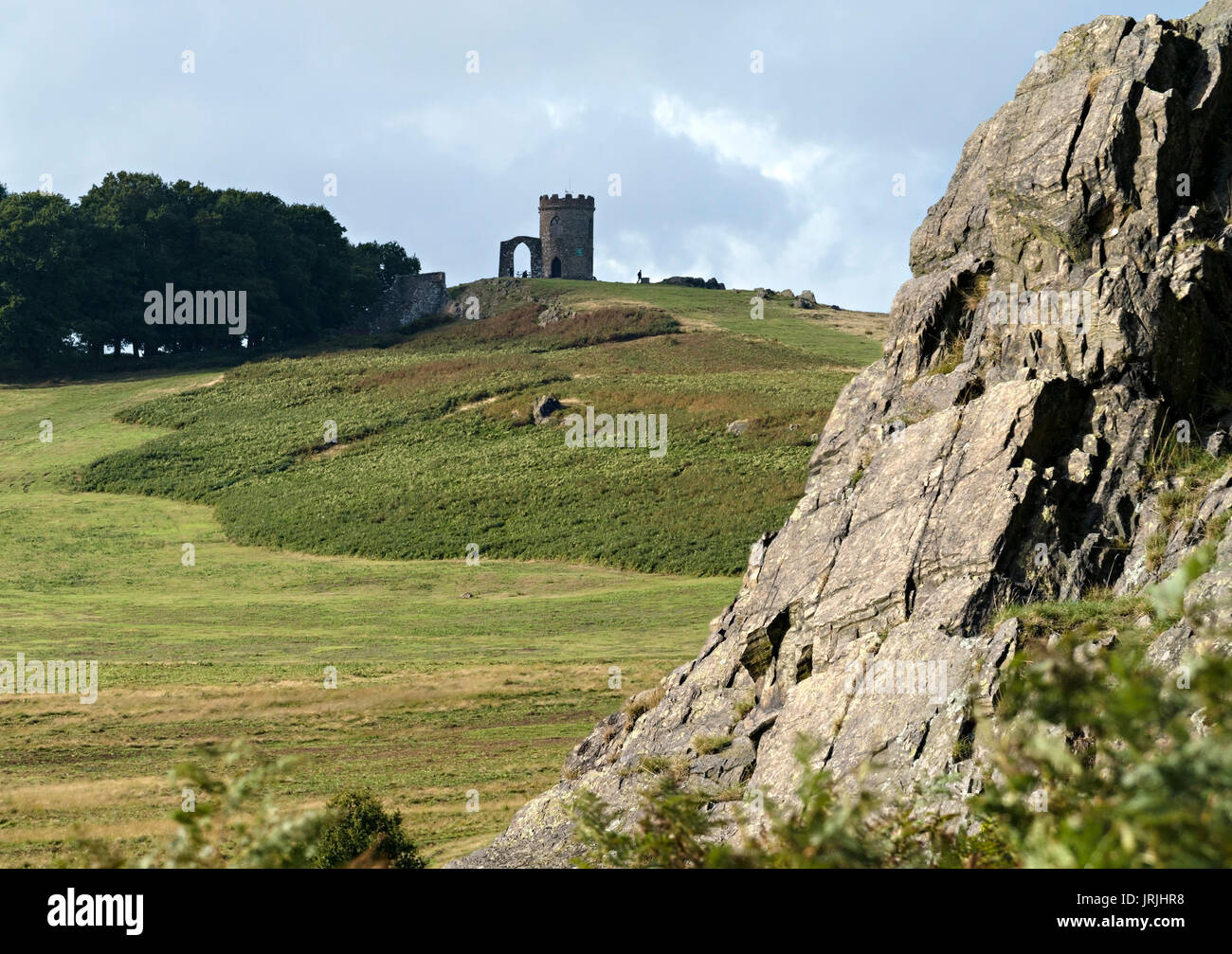 Le vieux John, Bradgate Park, Leicestershire, England, UK Banque D'Images