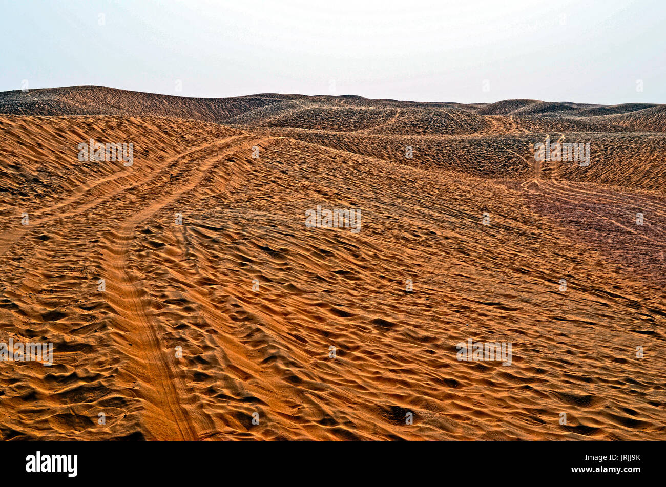 Dunes de sable Banque D'Images